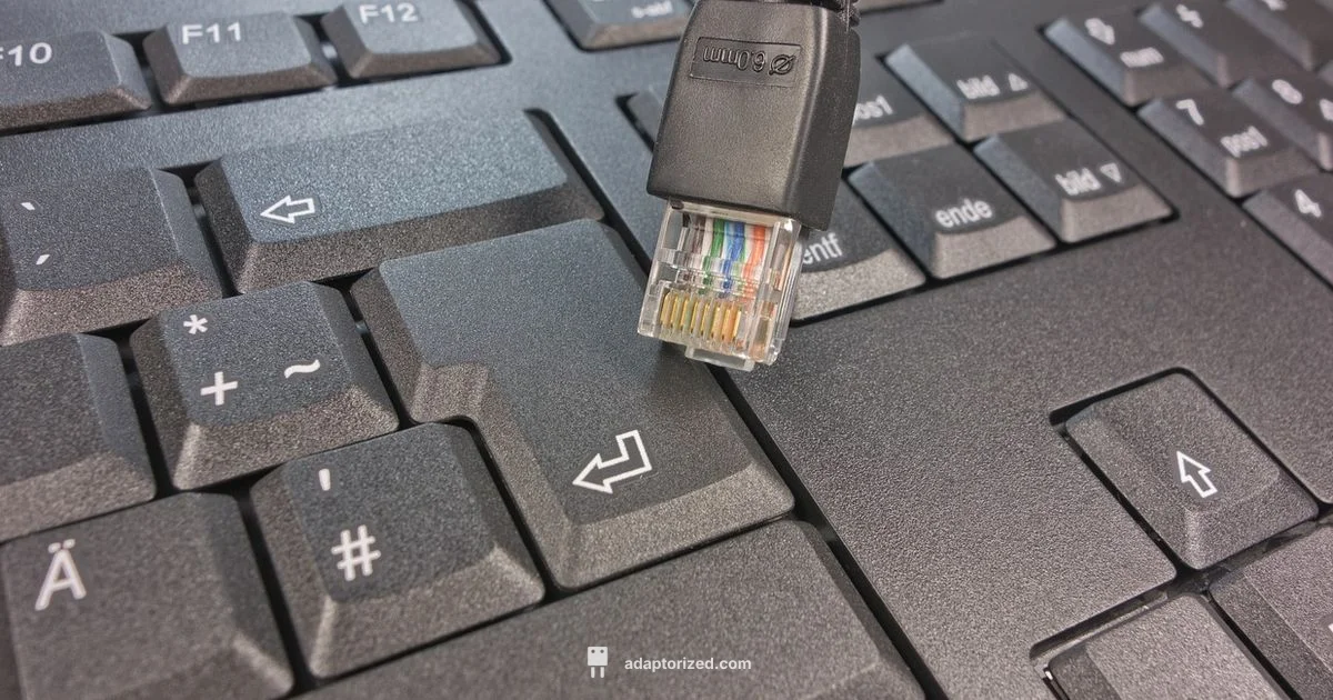 RJ45 Essentials - Adaptorized