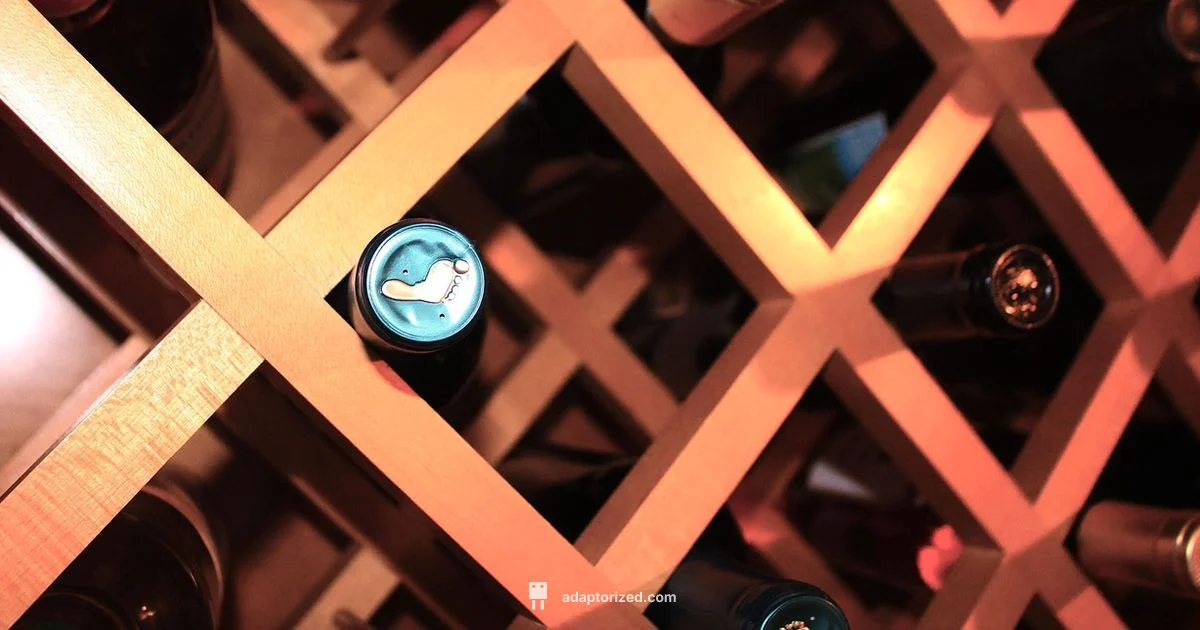 Port Health Guide Port Health Guide - Adaptorized