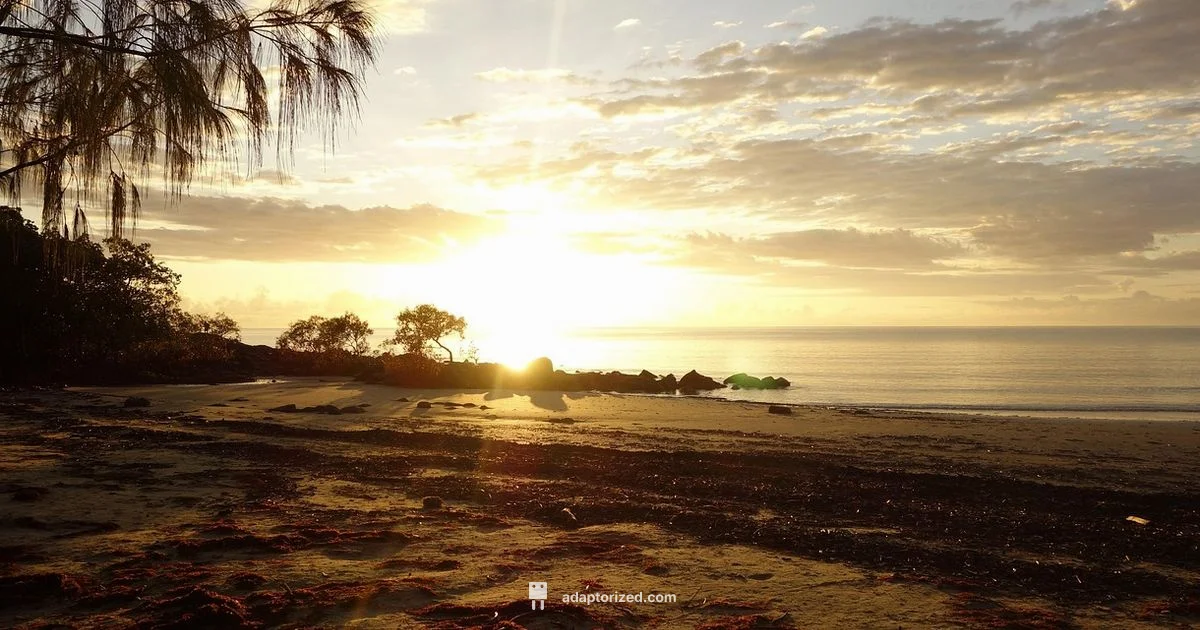 Port Douglas Essentials - Adaptorized