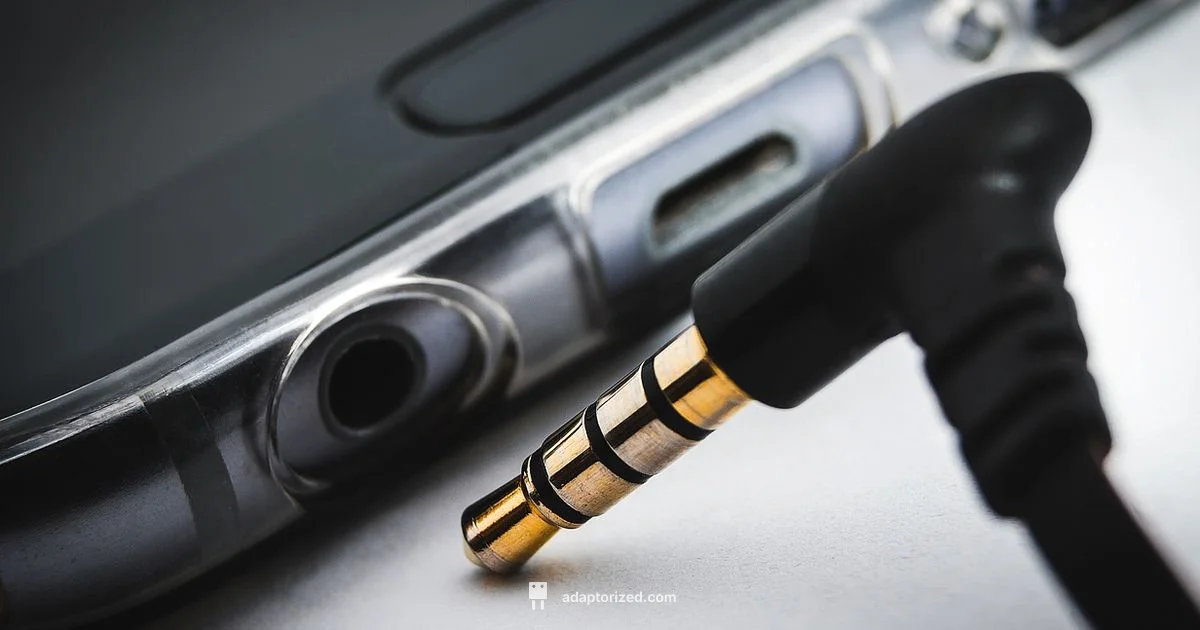 Master Connectors Guide - Adaptorized