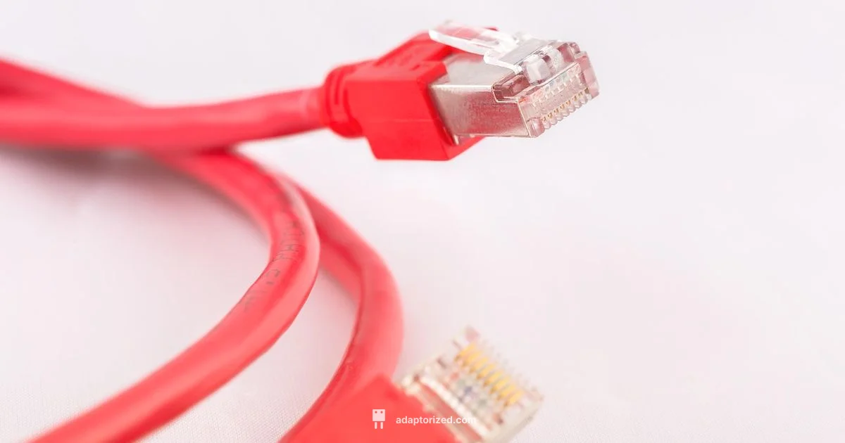 Ethernet Connectors 101 - Adaptorized