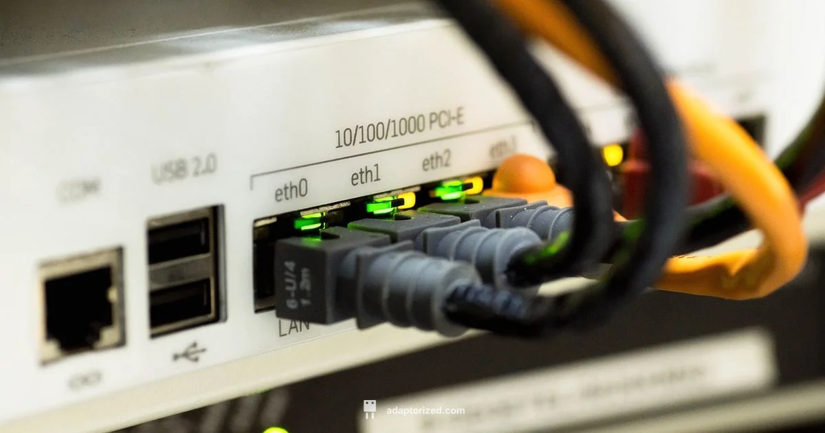 Network Connectors Guide - Adaptorized