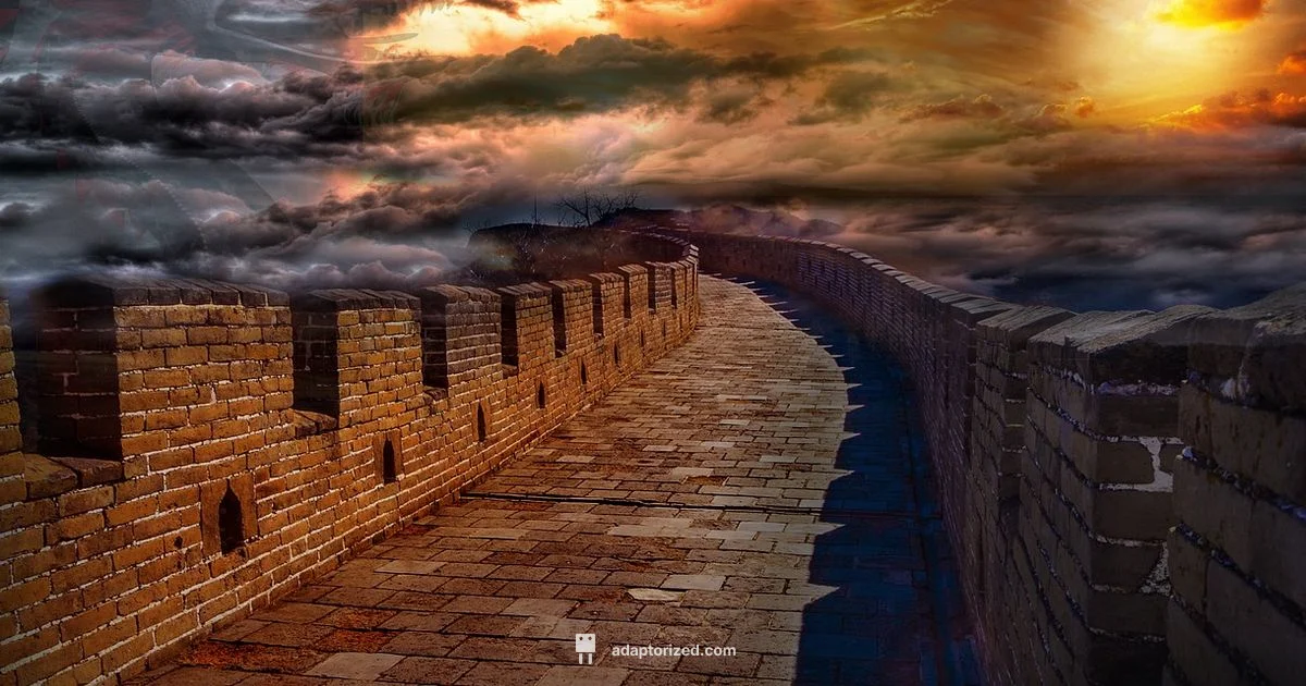 Type I Plug - Adaptorized