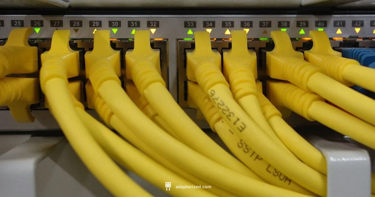 RJ45 Connector Guide - Adaptorized