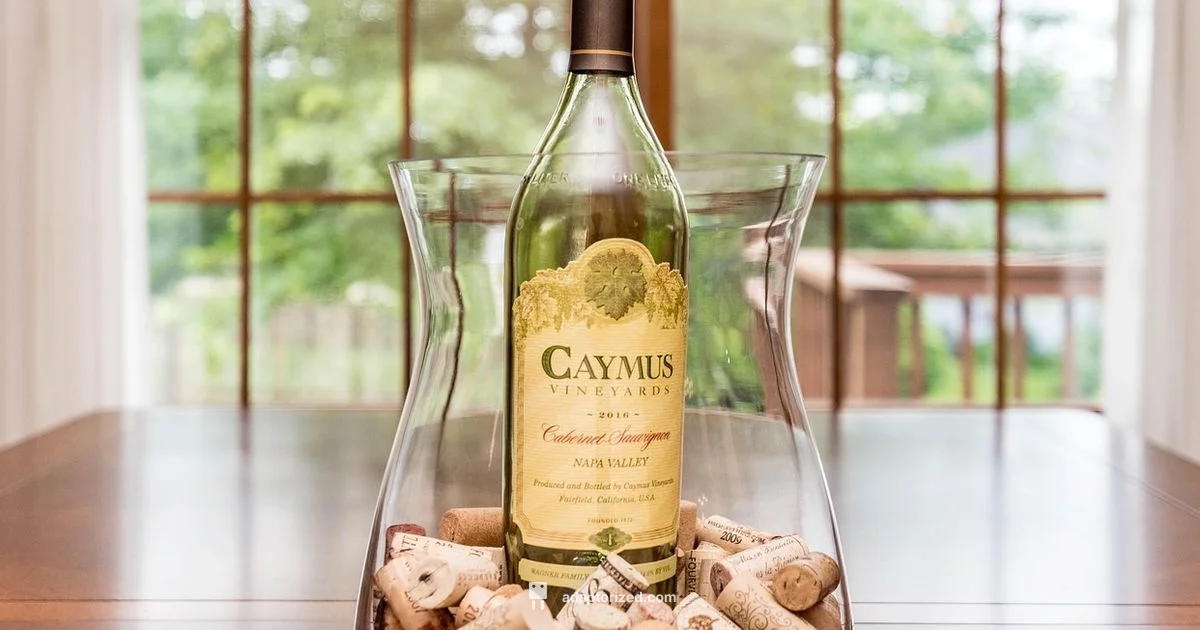 Port & Cholesterol Port & Cholesterol - Adaptorized