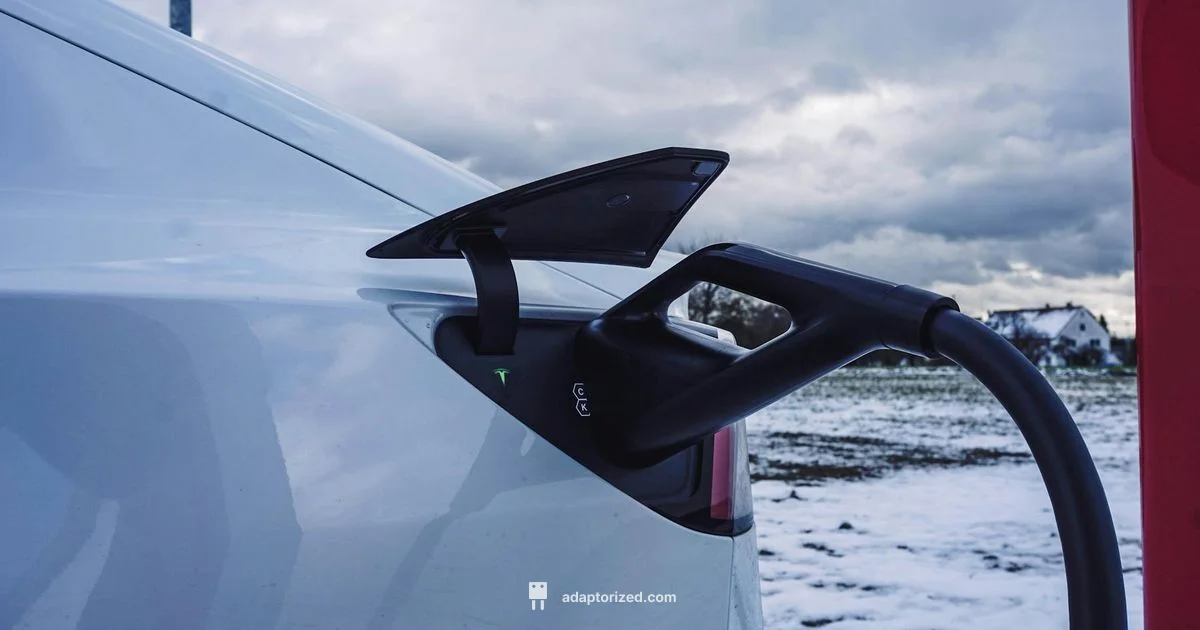 Winter Car Plug-In - Adaptorized