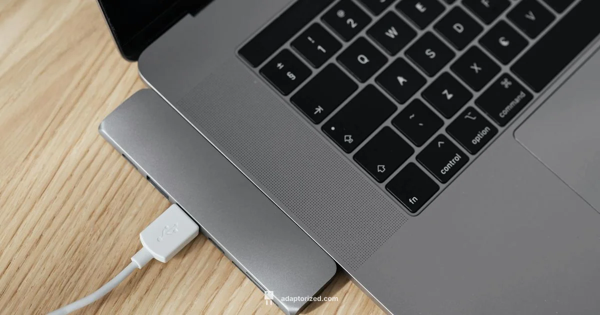 HDMI and USB Guide - Adaptorized