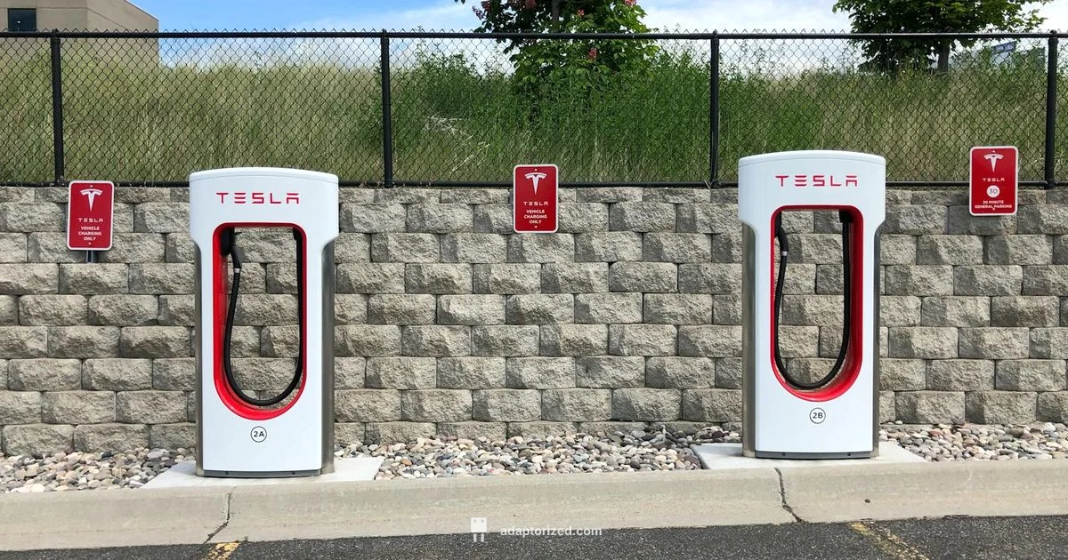 Wiring Essentials - Adaptorized