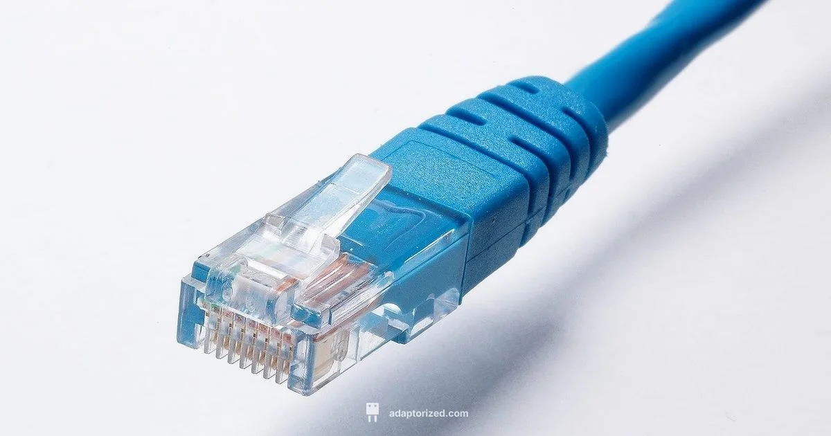 Cat6 Termination Guide - Adaptorized