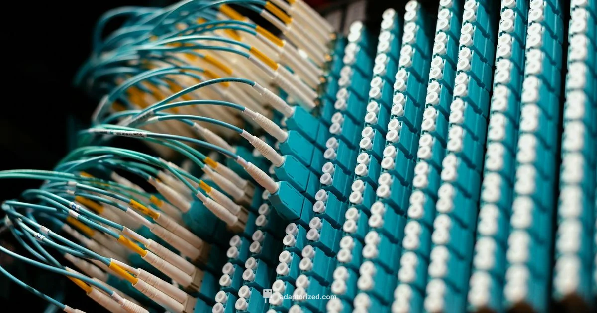 Connections Made Easy - Adaptorized