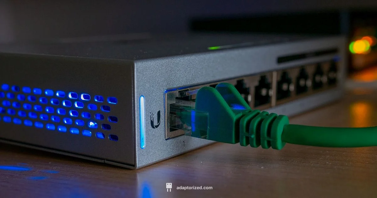 Check Open Ports - Adaptorized