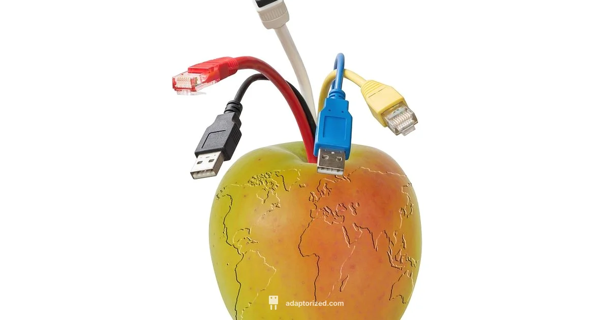 Port Numbers Port Numbers - Adaptorized