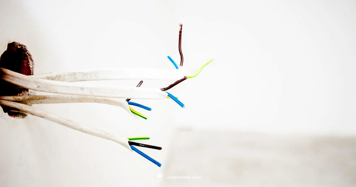 Wall Outlet Install - Adaptorized