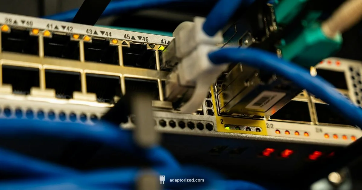 Connect Ethernet Cable - Adaptorized