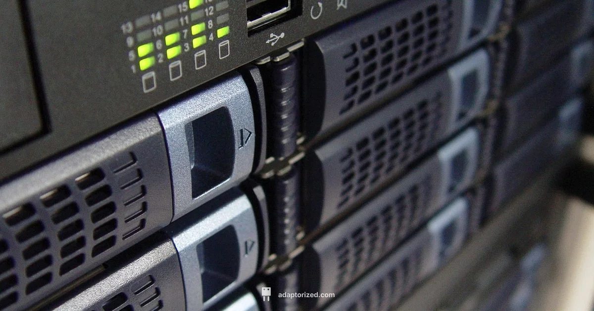 Minecraft Server Setup - Adaptorized