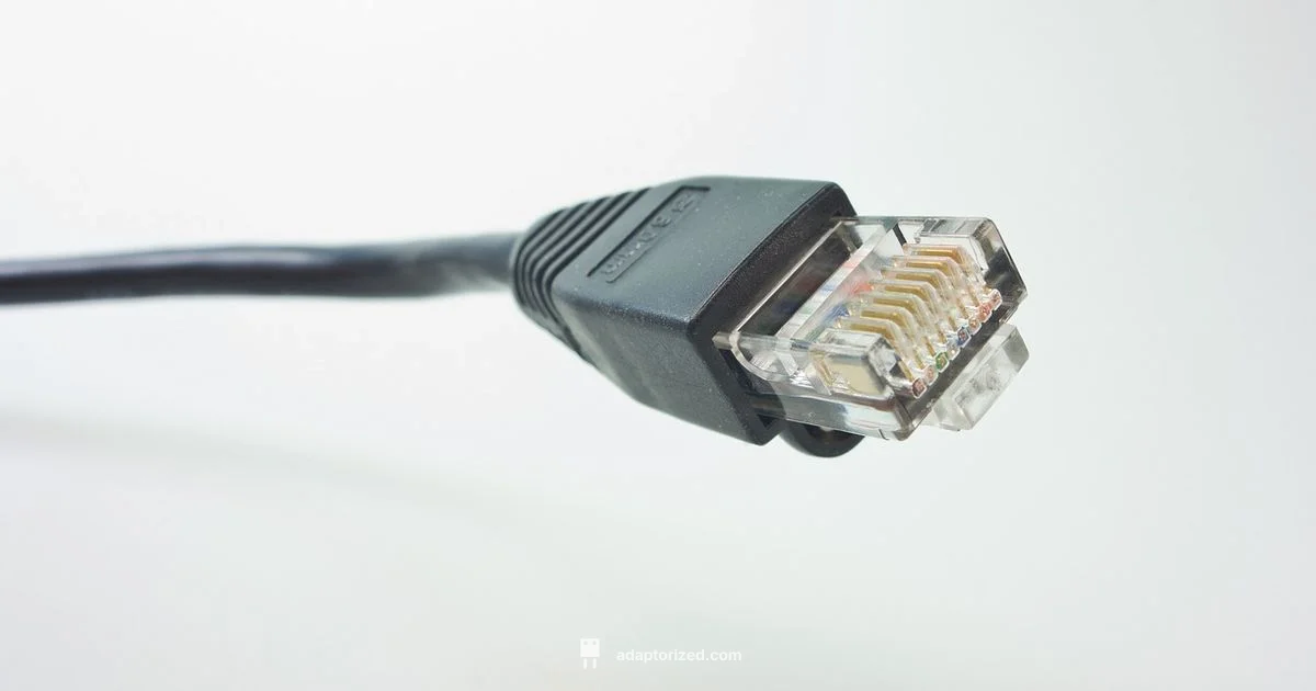 RJ45 Price Guide - Adaptorized