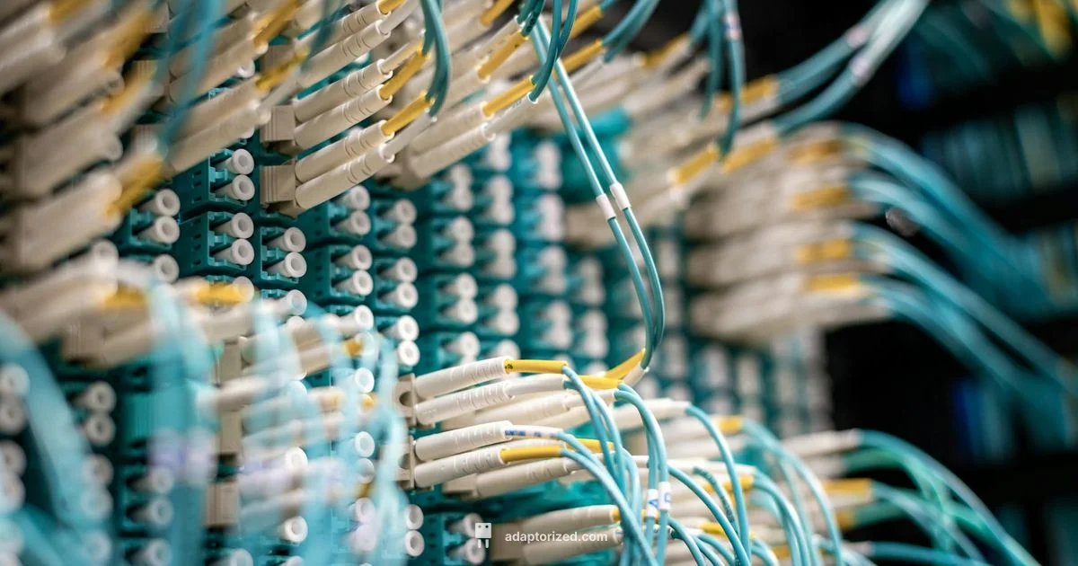 LC Fiber Basics - Adaptorized