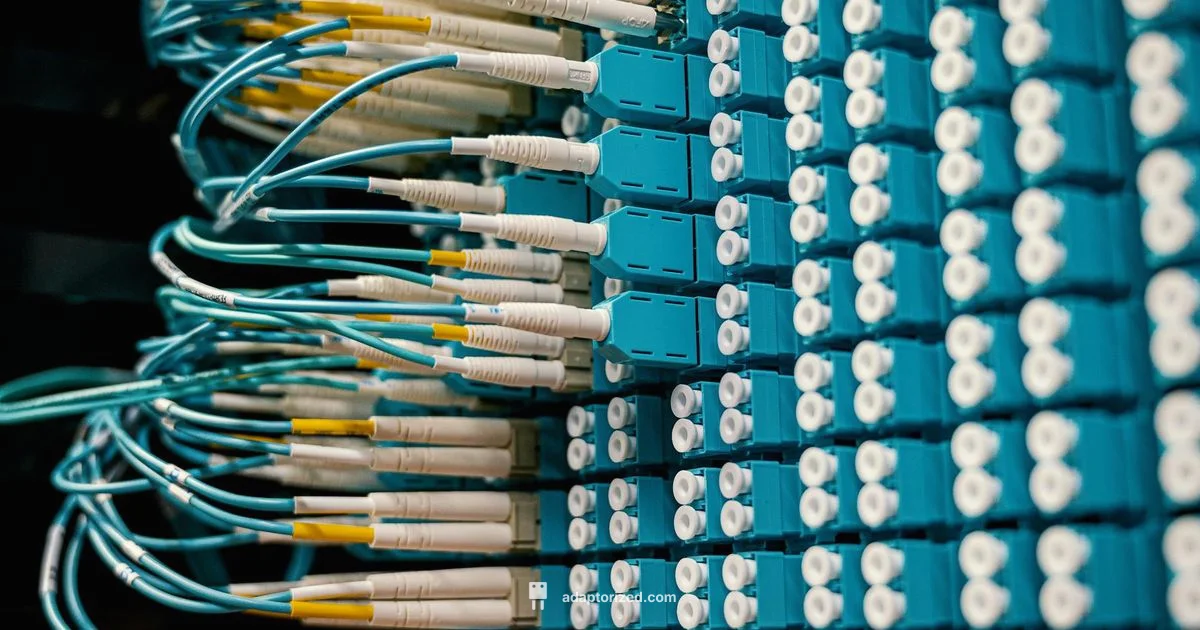 LC Connector Guide - Adaptorized