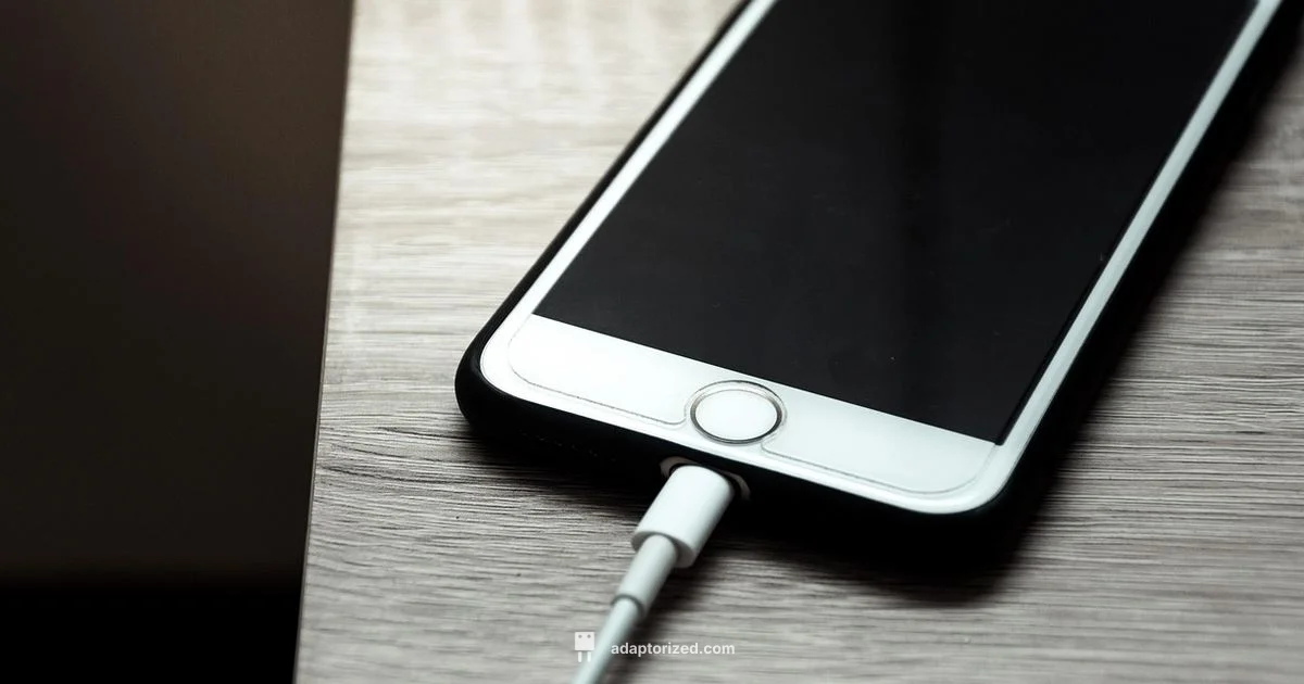 iPhone Connector Guide - Adaptorized