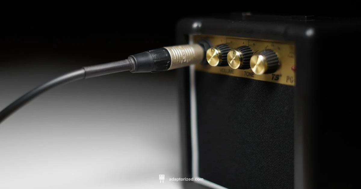 TS Audio Connector - Adaptorized