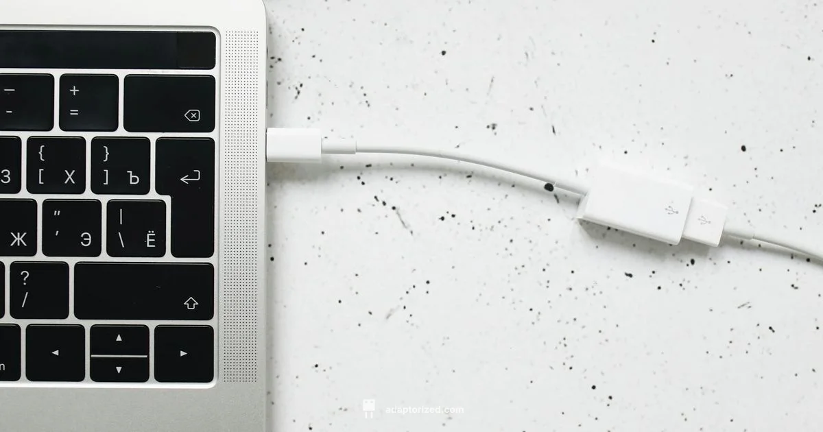 USB C Connector Guide USB C Connector Guide - Adaptorized