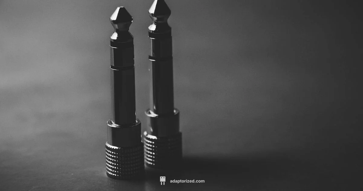 BNC Connectors Nearby - Adaptorized