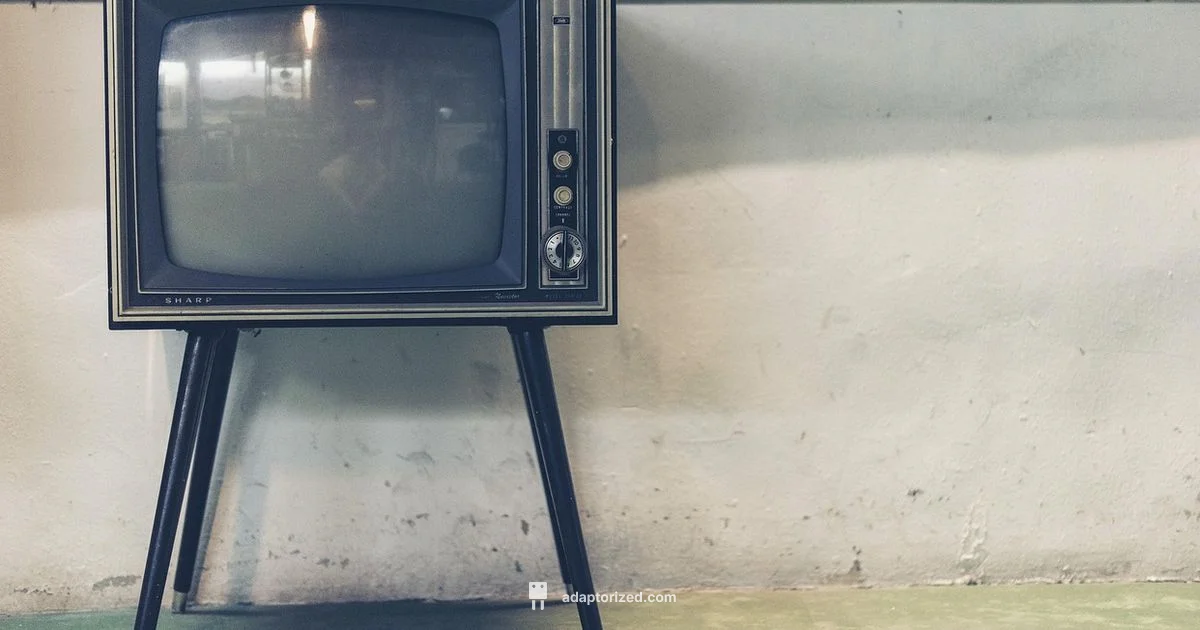 Connect with TV - Adaptorized