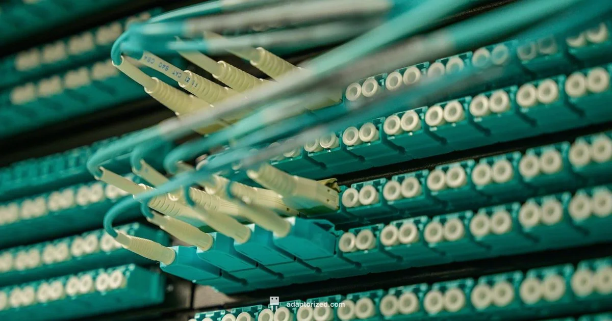 FFC vs FPC - Adaptorized