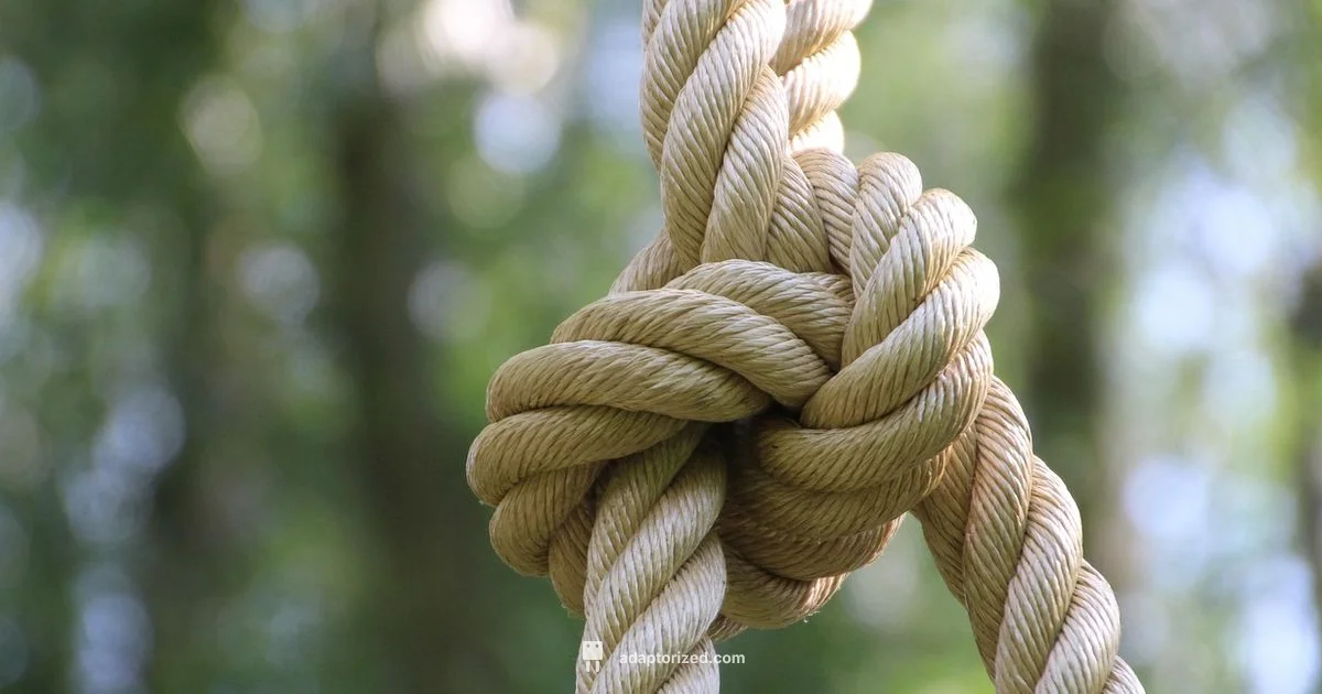 Cable TV Connectors - Adaptorized