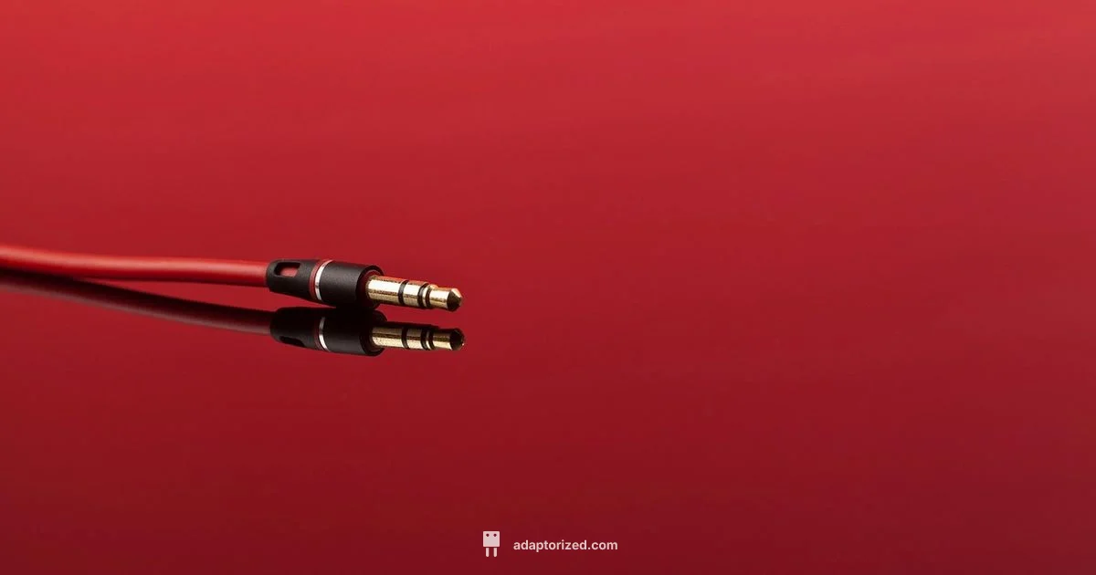 Analog Connector Guide - Adaptorized