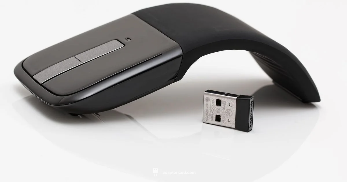 Wireless USB Adapter Wireless USB Adapter - Adaptorized