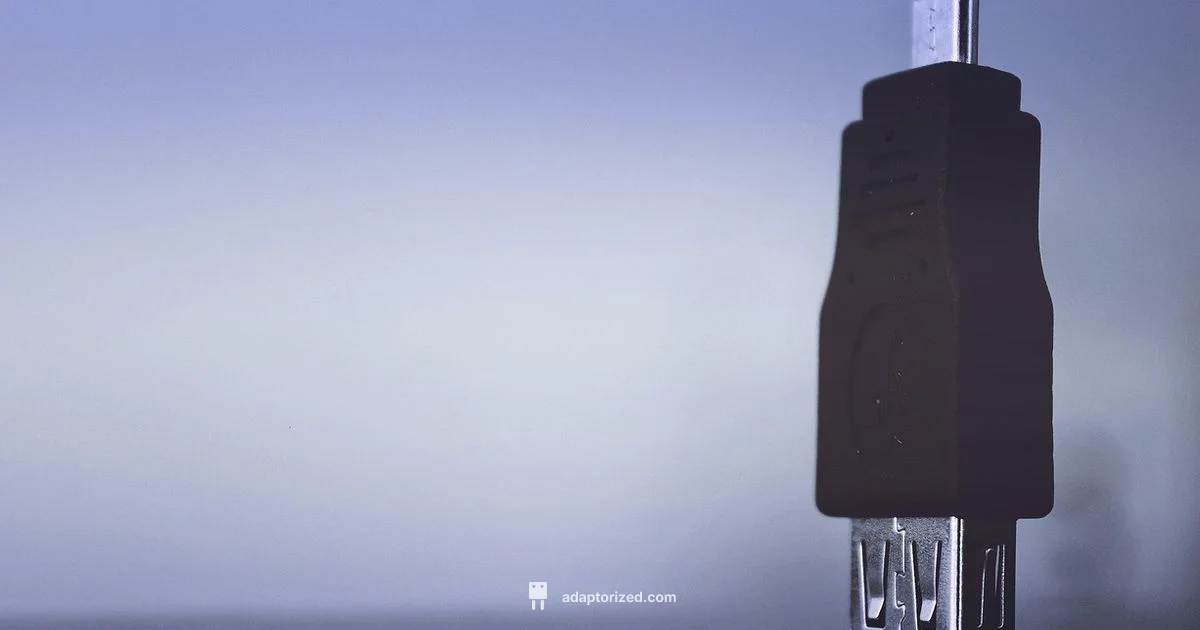 Cleaning Connectors - Adaptorized