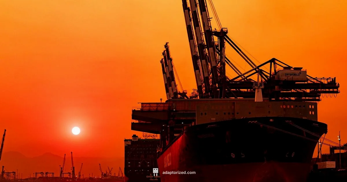 Port Troubleshooting Guide - Adaptorized