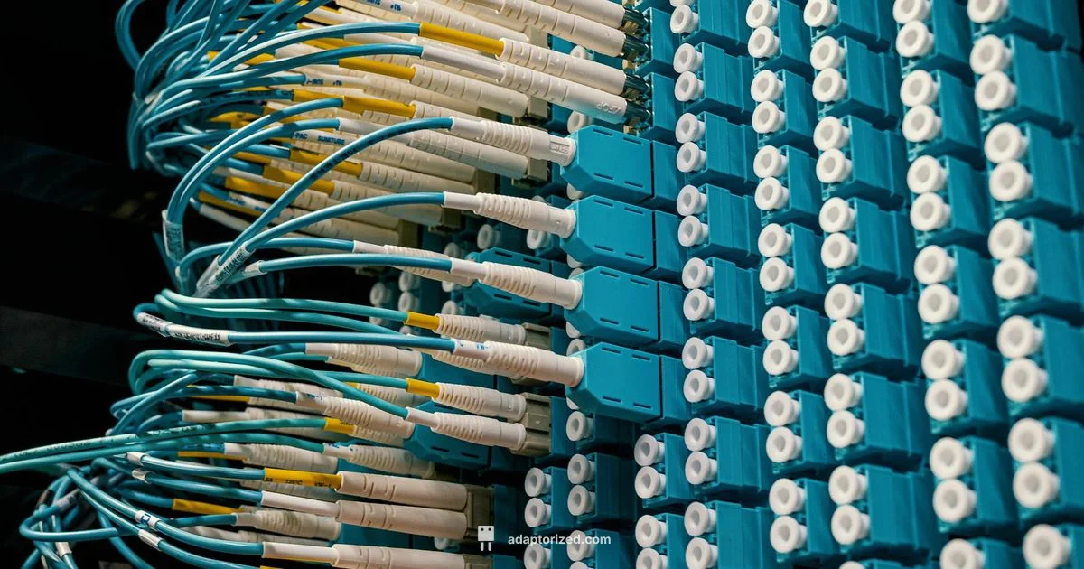 LC Connector Overview - Adaptorized