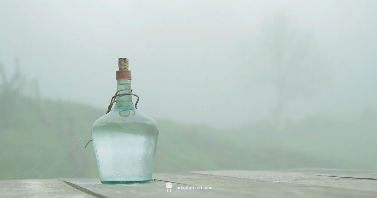 Port Names Explained Port Names Explained - Adaptorized