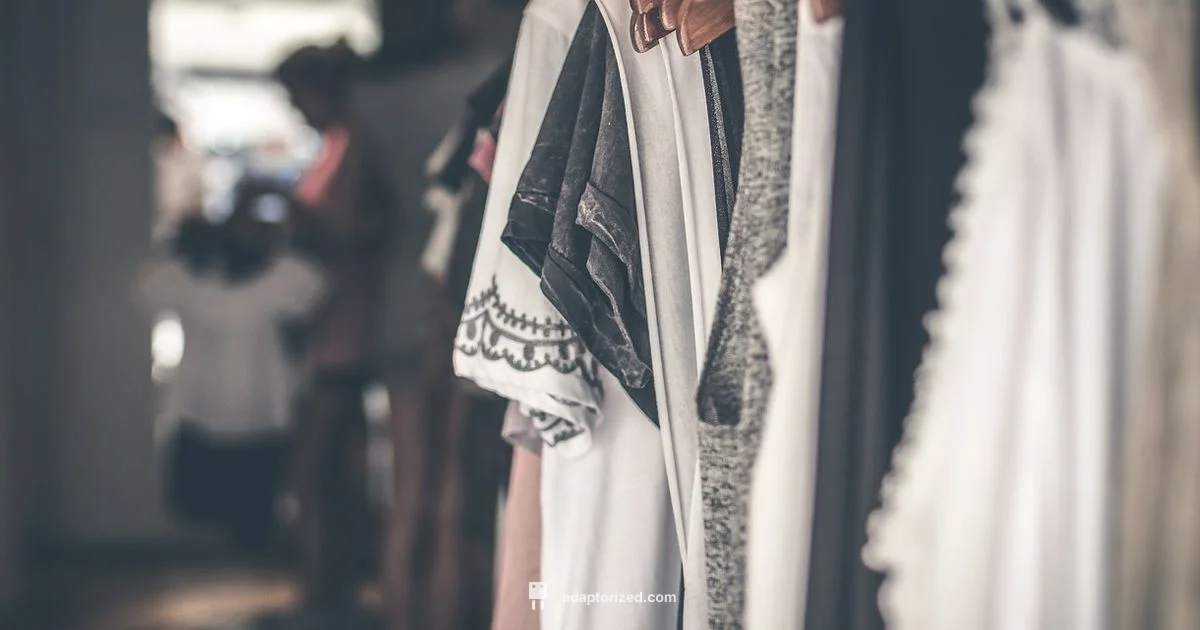 Brand Review 2026 - Adaptorized