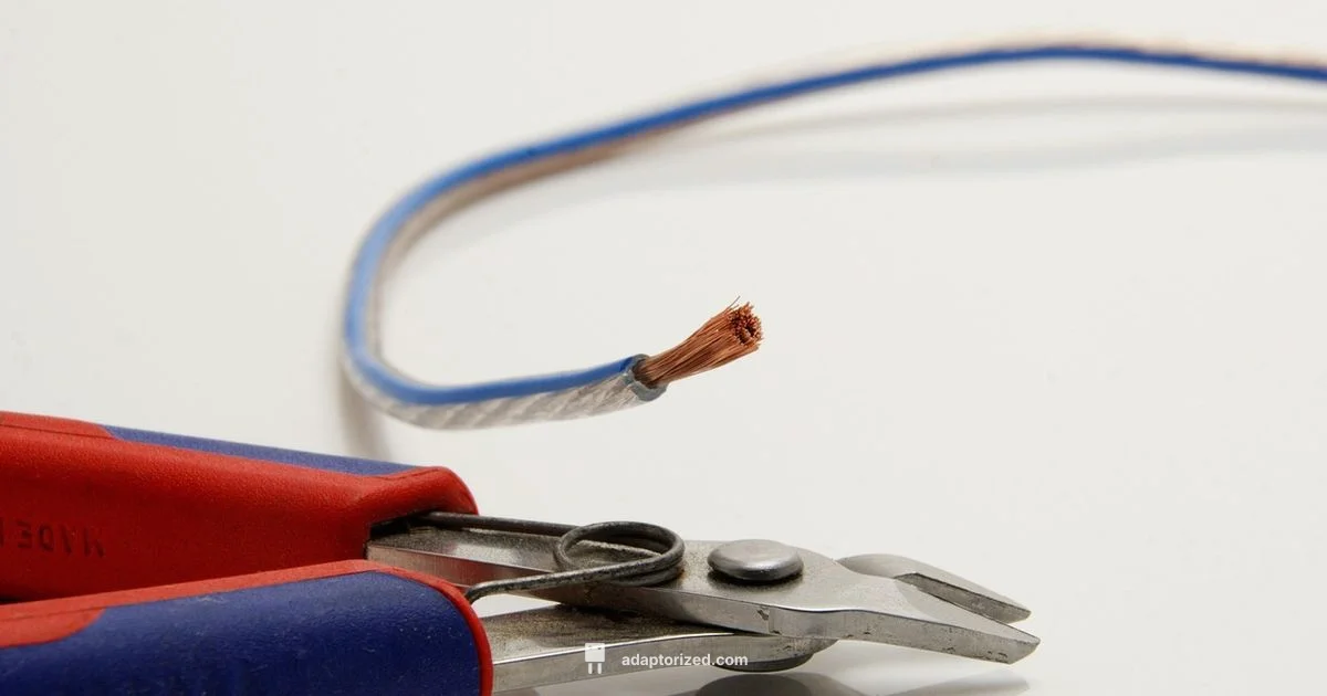 RF Cables Essentials - Adaptorized