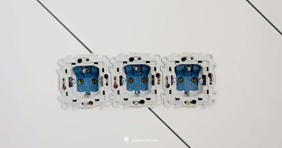 Seven Pin Socket - Adaptorized