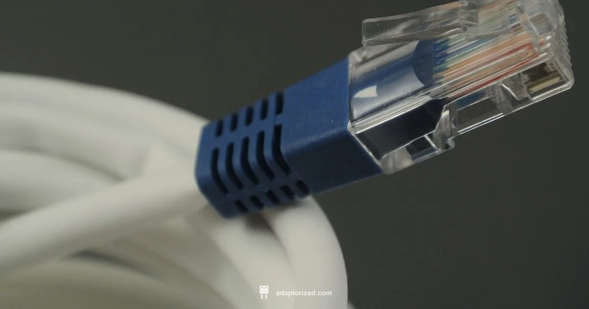 Find the Right Port - Adaptorized