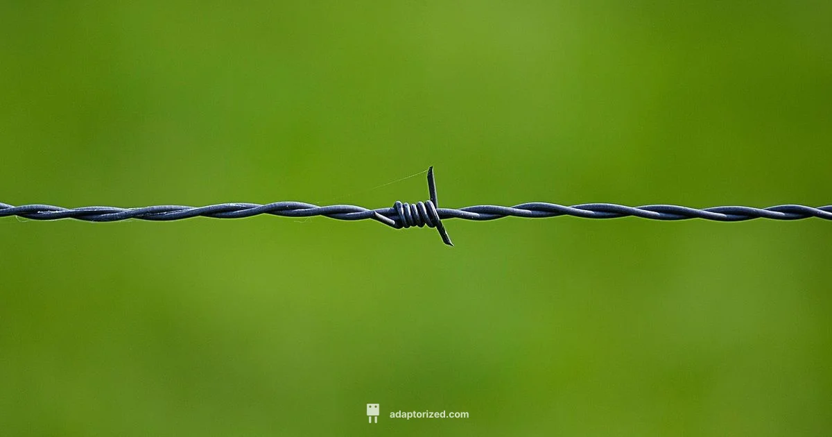 Wiring Connectors Guide - Adaptorized