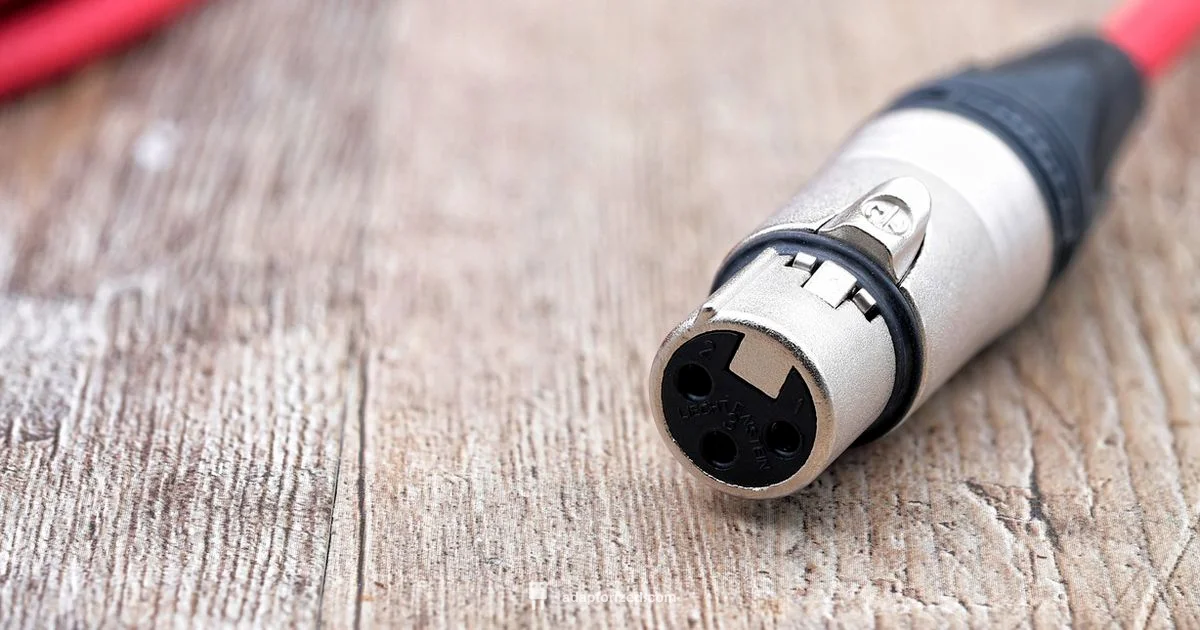 XLR Connector Basics - Adaptorized