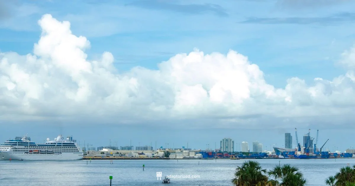 Bimini Free Day - Adaptorized