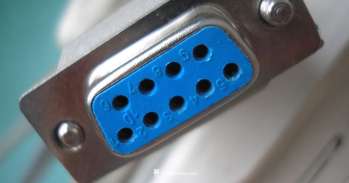 Test Your Port - Adaptorized