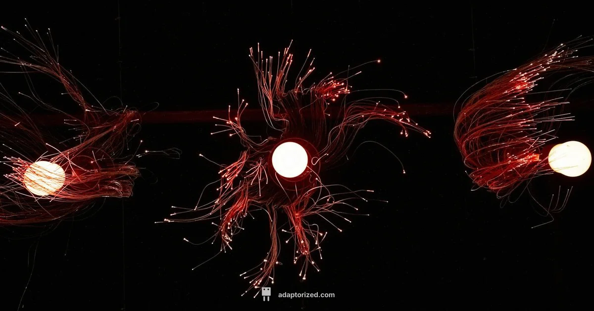 LC Fiber Connector - Adaptorized