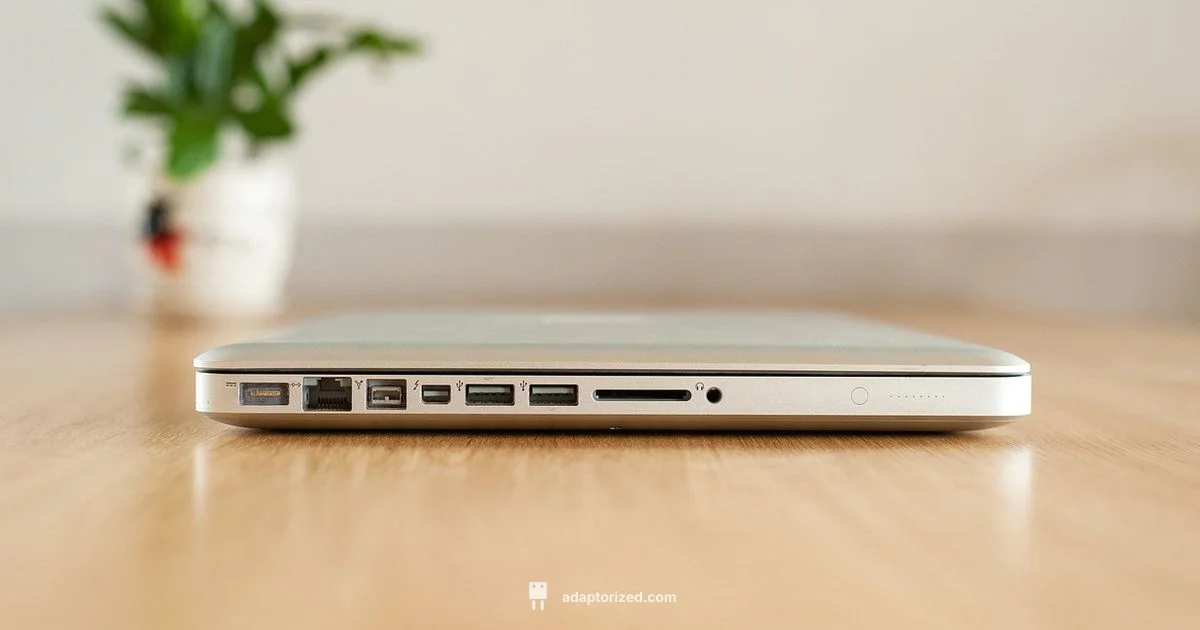 Connection Longevity - Adaptorized