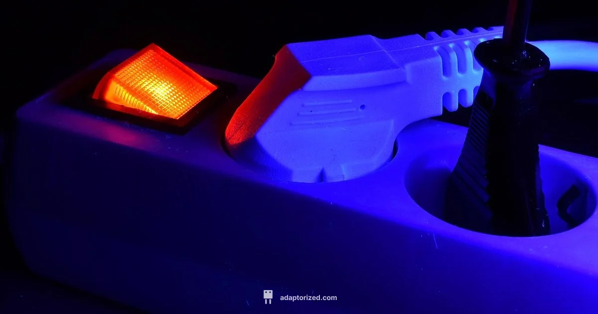 Does Plug Work? - Adaptorized