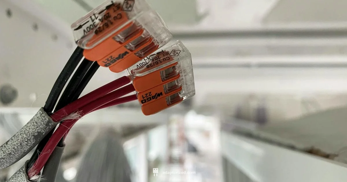 F Connector Basics - Adaptorized