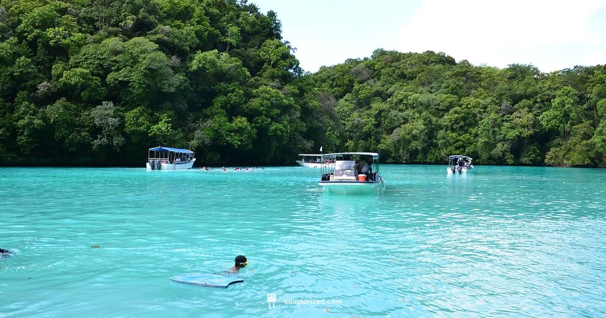 Port Stephens for Kids - Adaptorized