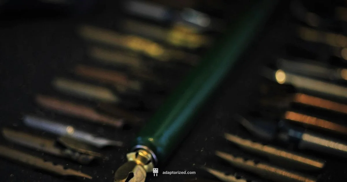 Transition Words Guide - Adaptorized