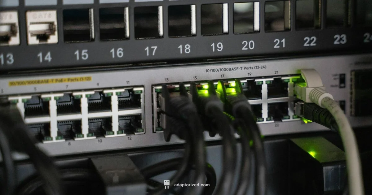 Connection Value Guide - Adaptorized